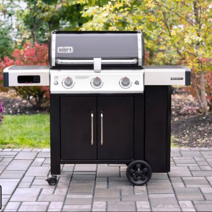 Barbecue à gaz Weber Genesis II EX 315